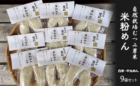 米粉めん 自然栽培 むつみ男米 白米 中太めん 9袋セット グルテンフリー 麺