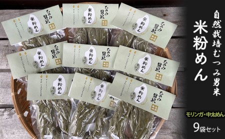 米粉めん 自然栽培 むつみ男米 モリンガ 中太めん 9袋セット グルテンフリー 麺