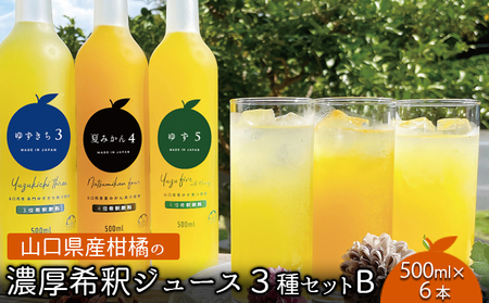  柑橘 ジュース 濃厚希釈 山口県産 3種セットB 500ml×6本 セット ギフト