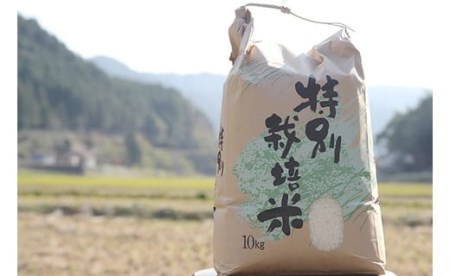 エコ７０　ヒノヒカリ（7kg）【福本農園】