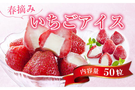 春摘み いちごアイス（50粒）金賞受賞 一口アイス ヒカリ乳業　A010