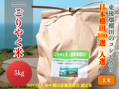 (1150)【令和6年度産先行予約】お米 玄米 こしひかり 5kg「ごりやく米」コシヒカリ