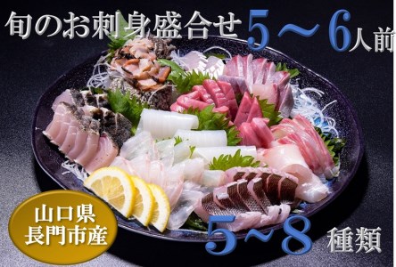 新鮮　旬魚　地魚　刺身盛り合わせ5～6人前（冷蔵）
