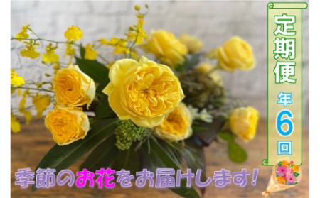 (1601)長門産 季節のお花の定期便（年6回毎月コース）　贈り物　ギフト