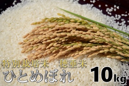 (1265)米　精米　白米　特別栽培米　穂垂米　「ひとめぼれ」　10kg　【令和5年産】