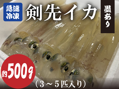 (10068)剣先イカ 冷凍 墨あり 急速冷凍 真空パック 約500g 3～5杯 長門市