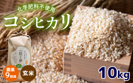 農薬9割減・化学肥料不使用 コシヒカリ(玄米) 10kg