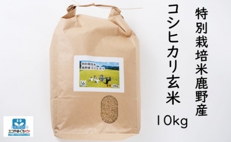 特別栽培米鹿野産コシヒカリ玄米10kg（10kgx1袋)＊北海道・沖縄・離島への配送不可＊