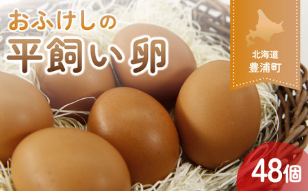 北海道 豊浦 おふけしの平飼い卵 48個