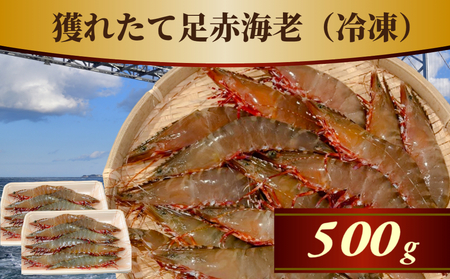 【数量限定】 獲れたて 足赤海老 500g 【冷凍】 | 国産 徳島 アシアカエビ クマエビ