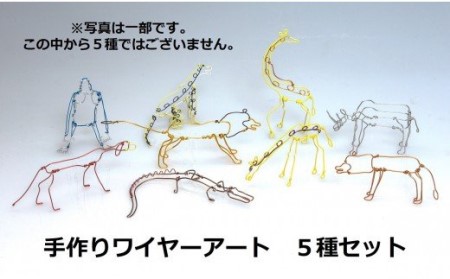 ワイヤーアート　5種類セット 恐竜５種セット