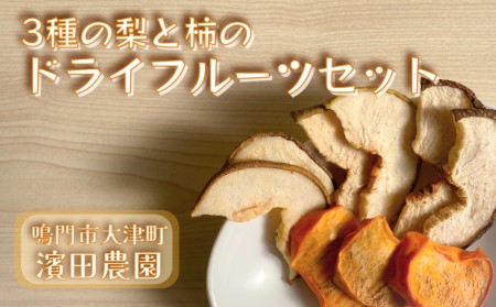 【濱田農園】３種の梨と柿のドライフルーツセット