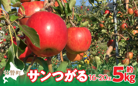＜2023年9月下旬～10月中旬頃までのお届け＞北海道壮瞥町　りんご　品種名「サンつがる」16～20玉約5kg フルーツ 果物 りんご 果樹