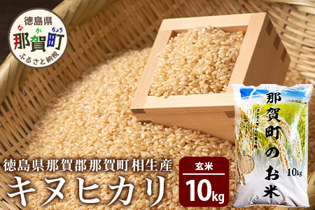 玄米 那賀町 相生産 キヌヒカリ 玄米 10kg 玄米 YS-5-4  お米 玄米 四国 玄米 徳島 玄米 那賀 玄米 相生 玄米 美味しい玄米