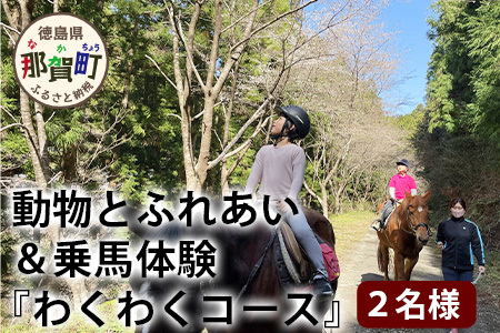動物ふれあい＆乗馬体験 『わくわくコース』約30分【2名】CC-3