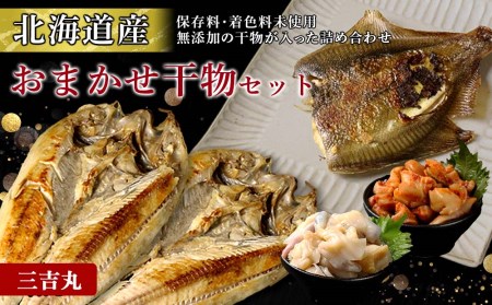【北海道産】海産物のプロが選ぶ！おまかせ干物セット