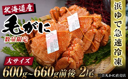 【大サイズ】北海道産 冷凍ボイル毛ガニ (600g-660g前後) 2尾