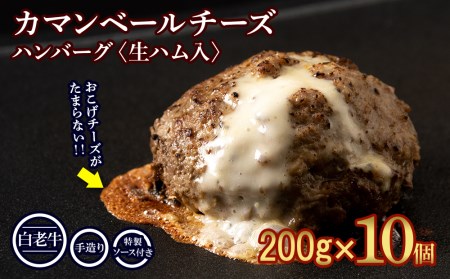 北海道産 白老牛 カマンベールチーズハンバーグ 10個セット 冷凍 チーズ イン ハンバーグ