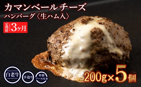 定期便３ヵ月 お楽しみ 北海道産 白老牛 カマンベールチーズハンバーグ 5個セット 冷凍 チーズ イン ハンバーグ BY112