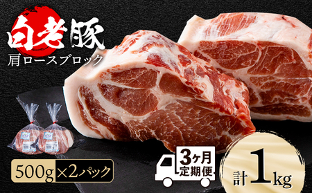 【定期便 3カ月】北海道産 白老豚 肩ロース ブロック 500g×2パック セット 冷凍 豚肉 料理 BV052
