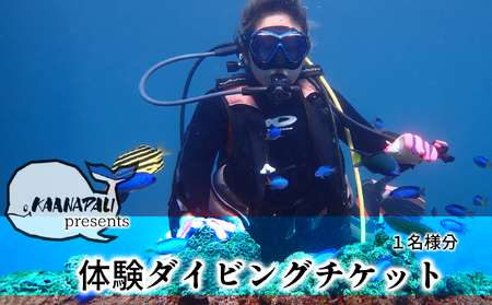 徳島最南端の海で体験ダイビング！