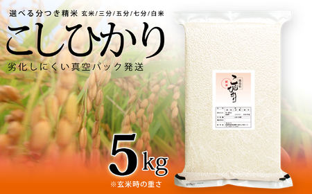 こしひかり 玄米時重量 5kg 分づき米 対応可 真空パック コシヒカリ 米 簡易梱包 エコ梱包