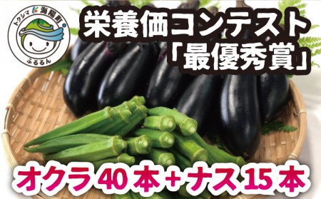 栄養価コンテスト『最優秀賞』受賞！！平岡農園　夏の野菜セット（小）　