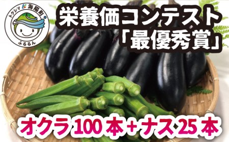 栄養価コンテスト『最優秀賞』受賞！！平岡農園　夏の野菜セット（大）