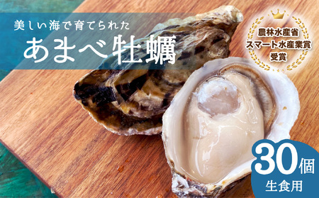 あまべ牡蠣 30個 牡蠣 シングルシード 生食用 殻付き かき カキ オイスター 生ガキ 生牡蠣 生がき 生かき ギフト 貝 旨味