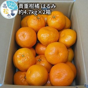 貴重柑橘　はるみ　約4.7kg×2箱【2025年2月上旬～2025年3月中旬配送】【T006-092】