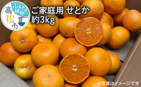 みかん 果物 フルーツ 柑橘 ご家庭用 せとか 約3kg【2025年2月中旬～2025年3月下旬配送】【T006-119】