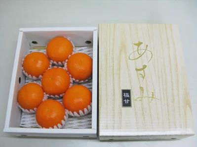 柑橘の救世主 贈答用 あすみ 化粧箱 約1kg【2025年2月上旬～2025年3月上旬配送】【T006-262】