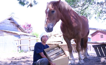 【1051】＜馬の林業＞西埜馬搬の北海道ナラ薪20kg