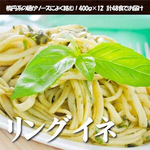 生パスタ  リングイネ 4.8kg  48食分( 麺 400g：4食 × 12袋 )｜生麺