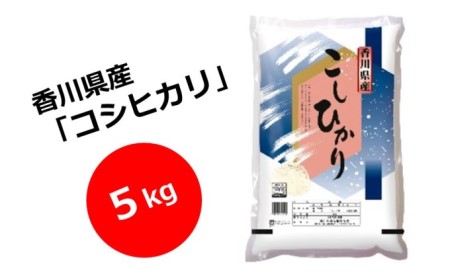 【令和5年産】　香川県産　コシヒカリ　5kg_お米