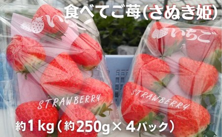 食べてご苺（さぬき姫）約1kg（約250g×4パック）