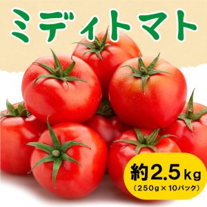 トマト ミディトマト トマト 期間限定 トマト 約250g×10パック トマト 小分け トマト 香川県 トマト さぬき市 トマト