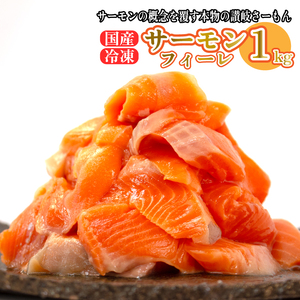 サーモン 約 700g 鮭 国産 魚 鮮魚 産地直送