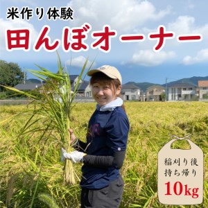 米作り 体験 田植え 体験 稲刈り 体験 田んぼオーナー 体験 香川県 体験 さぬき市 体験