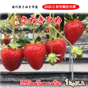 いちご 苺 さぬきひめ 約1kg 270g×2パック×2箱 【2月以降発送】