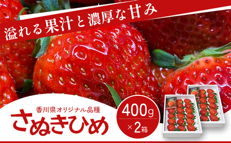 香川県オリジナル品種！  いちご【さぬきひめ】 400g化粧箱×2箱