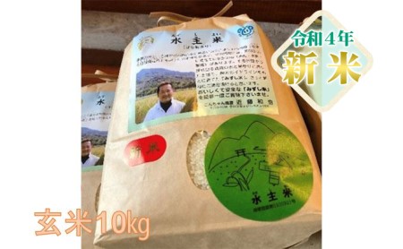 減農薬特別栽培米　こんちゃん農園の水主米（みずしまい）玄米10kg
