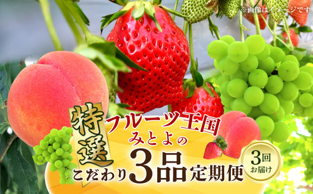 果物 季節 旬 フルーツ 定期便 フルーツ王国みとよの特選こだわり3品_M02-0114-R