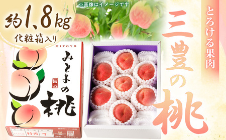 【先行予約】とろける果肉 「三豊の桃」 約1.8kg 化粧箱入り_M02-0053