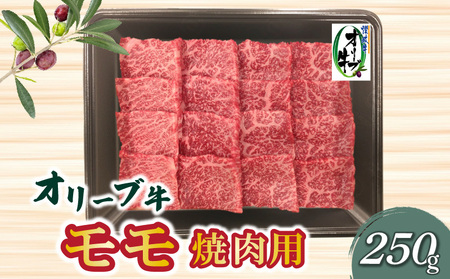 香川県産黒毛和牛オリーブ牛モモ焼肉250ｇ_M04-0104