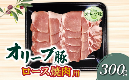 香川県産 オリーブ豚 ロース 焼肉用 300g_M04-0108