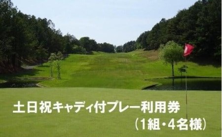 エリエールゴルフクラブ松山 土日祝キャディ付プレー利用券４名１組【ER007】