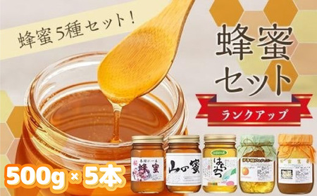 ランクアップ蜂蜜セット【KY003_x】
