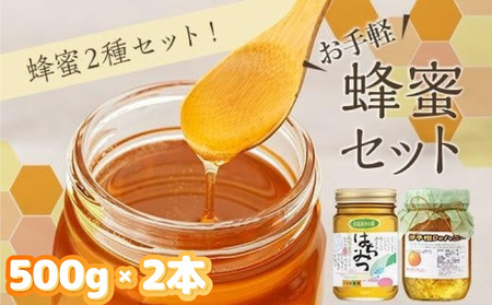お手軽蜂蜜セット【KY004_x】