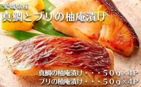 愛媛県産真鯛とブリの柚庵漬け 各４Pセット【TS030_x】